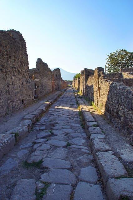 Pompeii and Herculaneum 8 hour private tour from Sorrento - Key Points / Takeaways