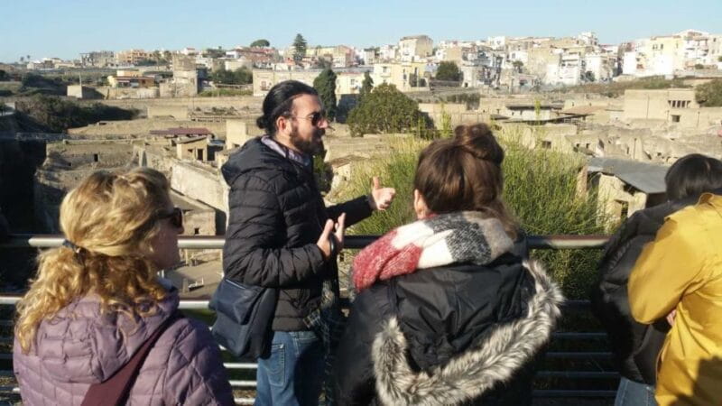 Pompeii and Herculaneum: Private Tour with Transportation - Price & Value Analysis