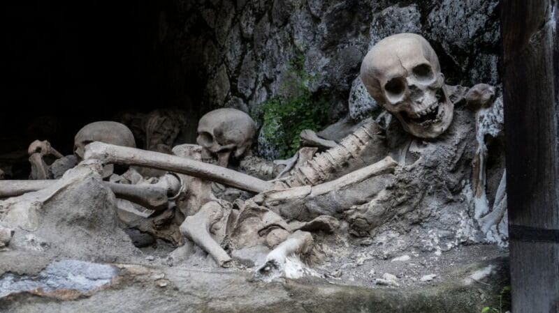 Pompeii and Herculaneum: Private Tour with Transportation - FAQ