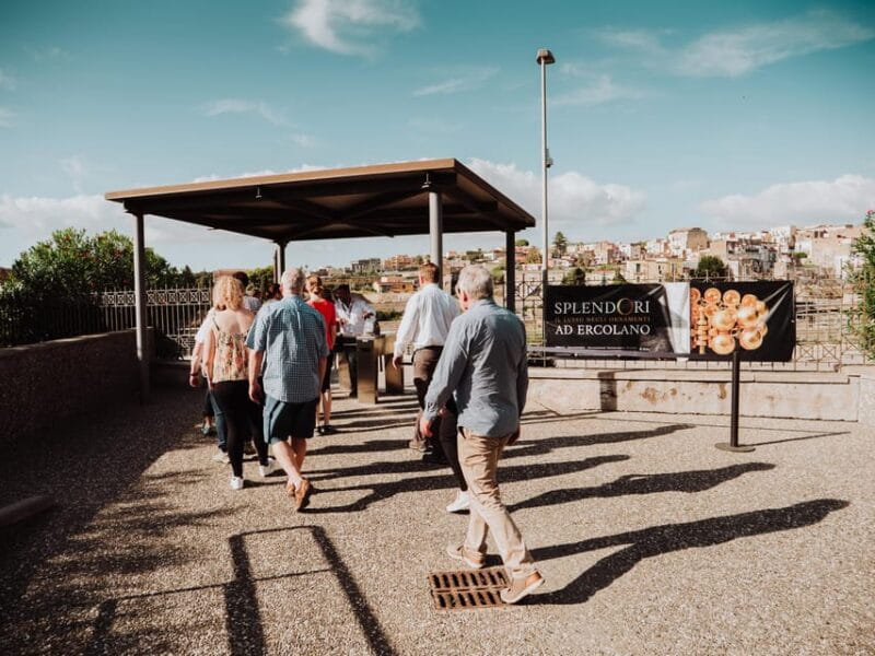 Pompeii and Herculaneum small group excursion from Sorrento - Transportation and Logistics: Comfort and Efficiency