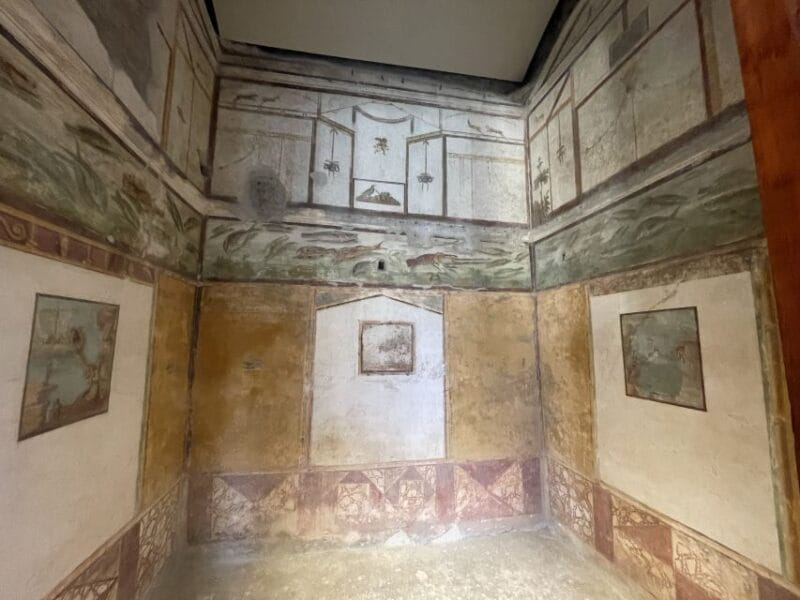 Pompeii and House of Vettii Guided Tour - Price and Value