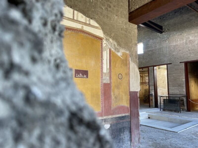 Pompeii and House of Vettii Guided Tour - Who Will Love This Tour?