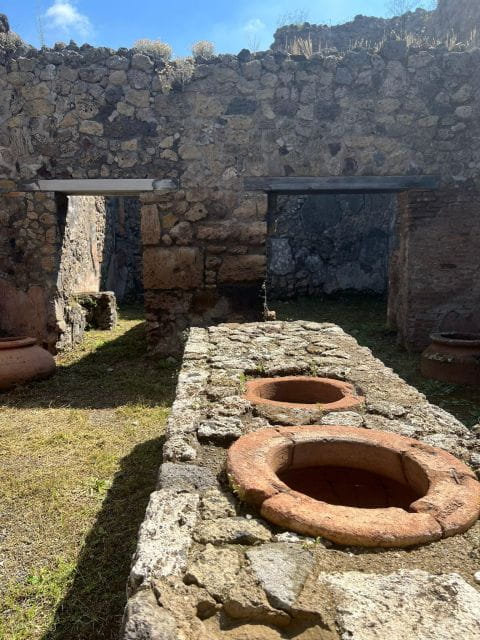 Pompeii and Vesuvius Cellars: Tour with Pick-Up in Positano - Final Thoughts