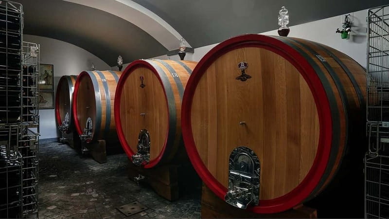Pompeii and Vesuvius Winery Tour with Wine Tasting - Exploring Pompeii with a Local Guide or at Your Own Pace