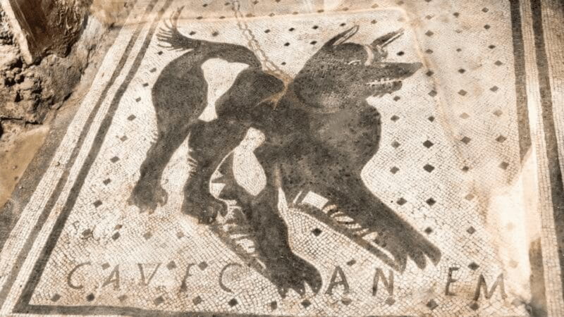 Pompeii Audioguide - TravelMate app for your smartphone - Final Thoughts