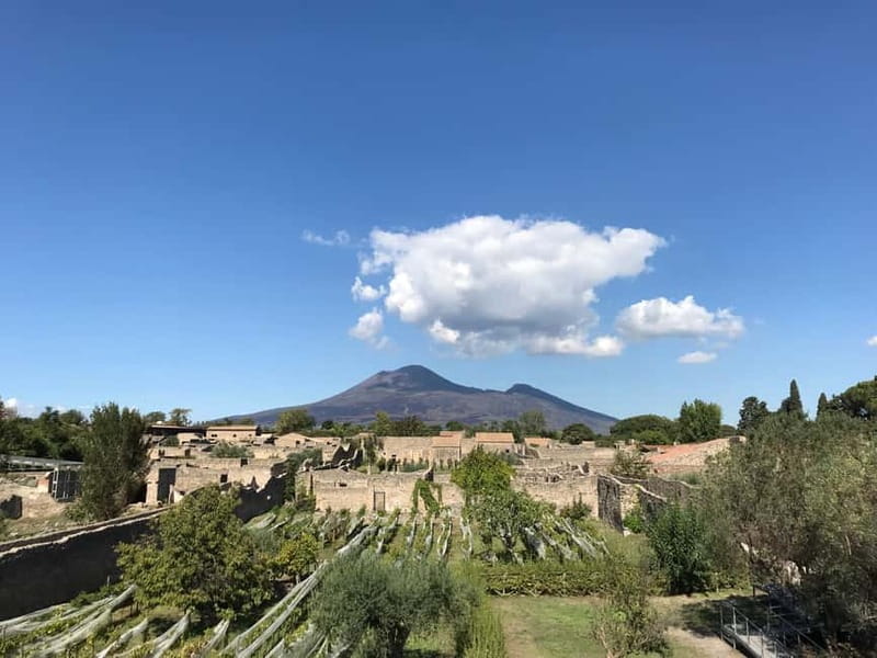 Pompeii: Exclusive Tour with Archaeologist and Entry Tickets - Exploring Pompeii in Two Hours: An Honest Breakdown