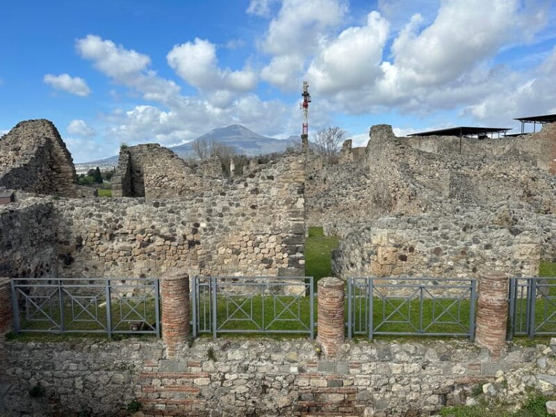 Pompeii from Sorrento: transfer + entry ticket + guided tour - Who Should Consider This Tour?