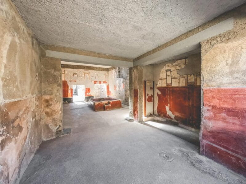 Pompeii: Guided Day Trip to Ruins and 2 Wineries Visits - The Scenic Drive and Vineyard Visits