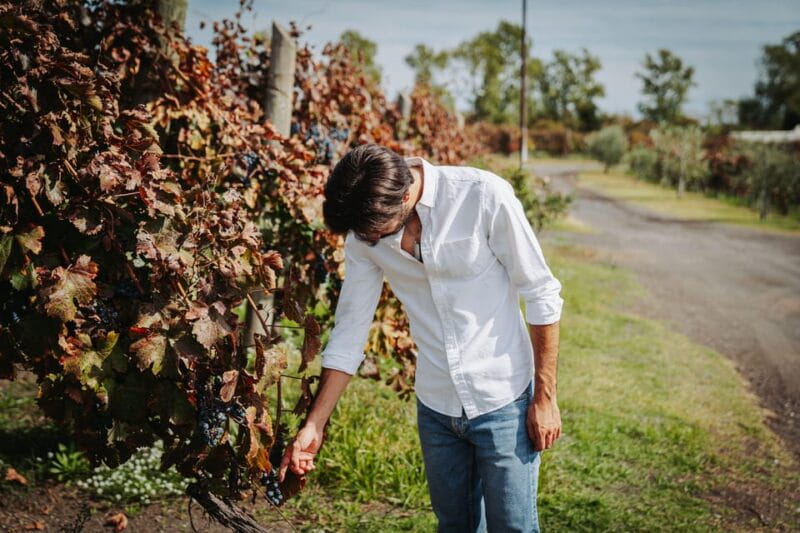 Pompeii: Guided Day Trip to Ruins and 2 Wineries Visits - FAQs