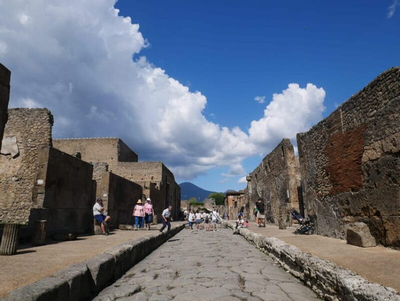 Pompeii: Guided Tour with a local guide - Private - Key Points/Takeaways