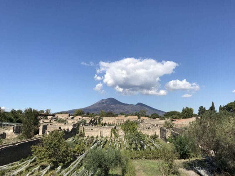 Pompeii & Herculaneum Private Skip-the-Line Tour with Ticket - The Unique Charm of a Private Tour in Campania