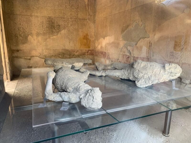 Pompeii in 2h and 30mnt: walk with local guide - The Practicalities: Price, Logistics, and Tips