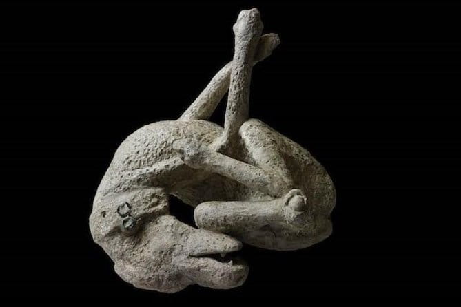 Pompeii: living with the volcano - Visiting Pompeii’s Residences and Public Spaces