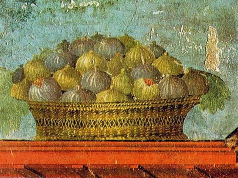 Pompeii: Oplontis Small Group Tour with an Archaeologist - Key points / Takeaways