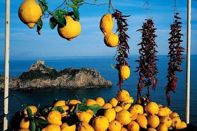 Pompeii, Positano and Amalfi Coast Private Day Tour from Rome - The Logistics and Experience Value