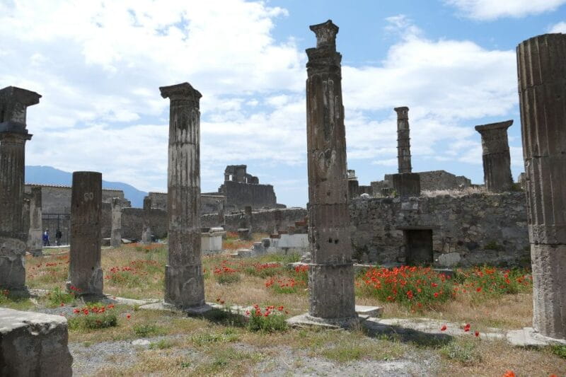 Pompeii Private Guided Tour with Lunch - Price and Practicalities