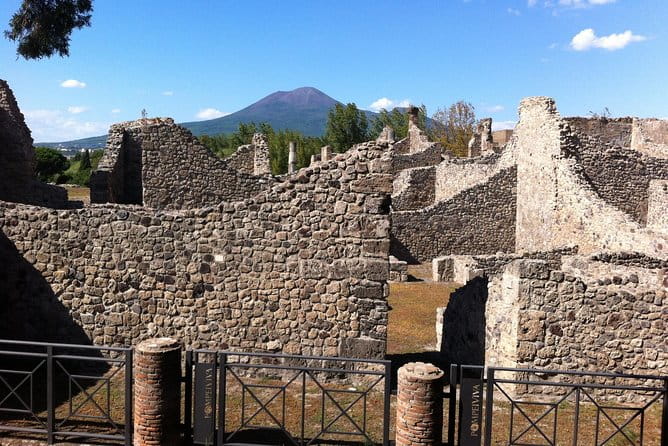 Pompeii Private Half-Day Tour from: Naples,Sorrento, Amalfi Coast - FAQ