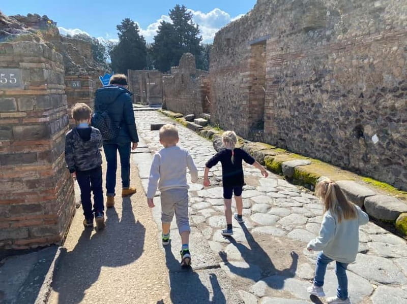 Pompeii: Private Tapsy Tour for Families with Kids - Key Points / Takeaways