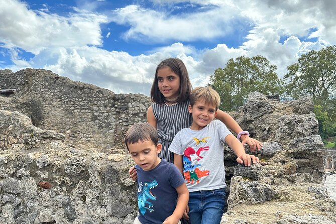 Pompeii Private Tour From Naples Cruise, Port or Hotel Pick up - Entrance Ticket Inclusions