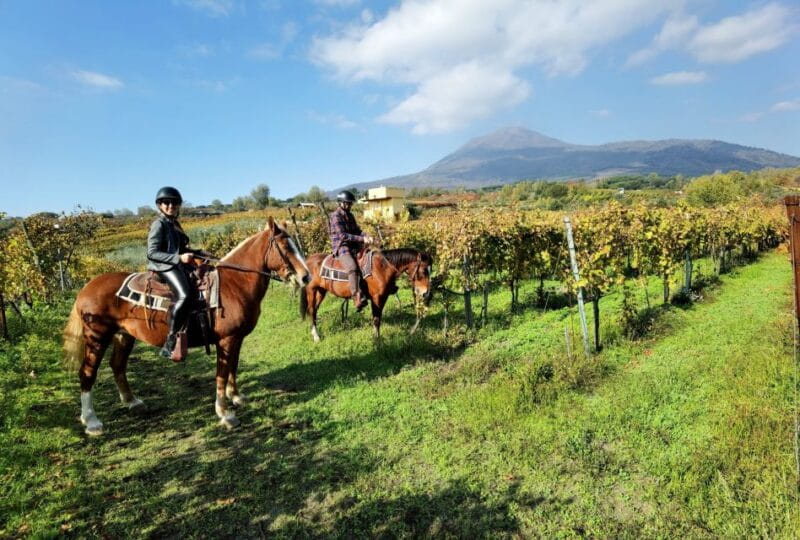 Pompeii: Ruins Tour and Mount Vesuvius Horseback Ride - Key Points and Takeaways