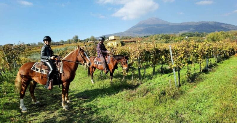 Pompeii: Ruins Tour and Mount Vesuvius Horseback Ride - Entering Pompeii: A Step Back in Time