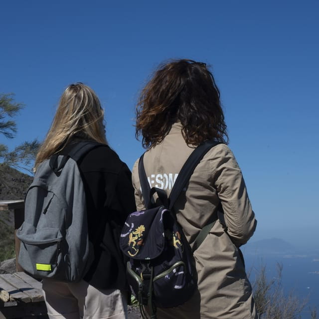 Pompeii Ruins & Vesuvius Full-Day Tour from Pompeii - Climbing Mount Vesuvius: A Mix of Views and Reality