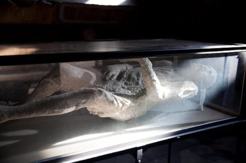 Pompeii: Skip-the-Line Guided Tour with Expert Archaeologist - Key points / Takeaways