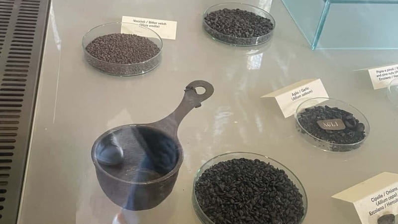 Pompeii: Skip-the-Line Private Tour with Archaeologist Guide - Why a Guided Tour Adds Value