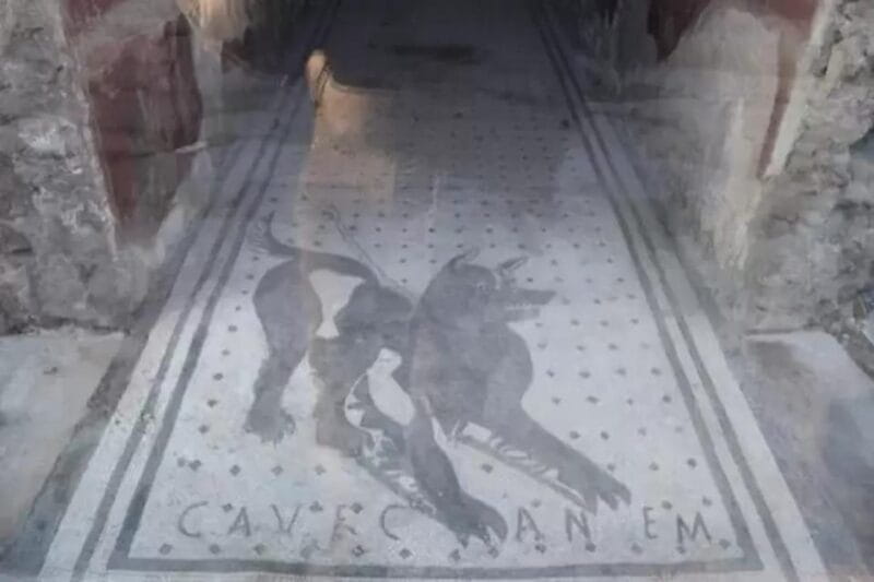 Pompeii: Skip the Line Ticket + Audioguide - Who Is This Tour Best For?