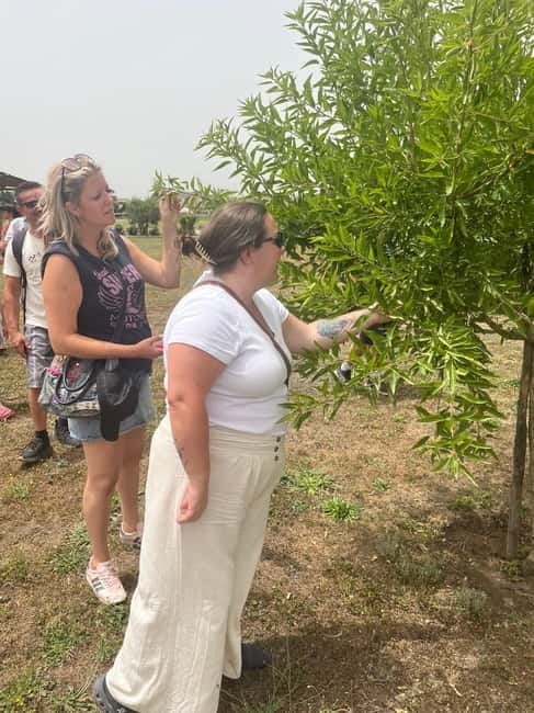 Pompeii: Tour of the Archaeological Excavations and Fresh Pasta Cooking Class - Final Thoughts