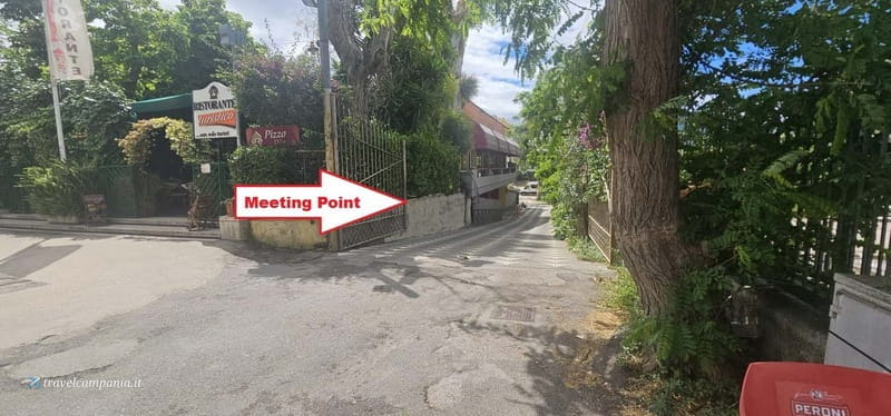 Pompeii: Tour with Archaeologist Guide & Skip-the-Line Entry - Key Points / Takeaways