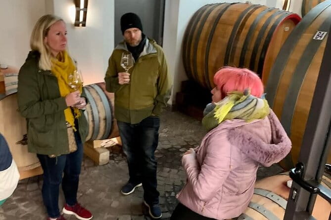 Pompeii Vesuvius Wine Farm Tour - Climbing Mount Vesuvius: Nature’s Spectacle