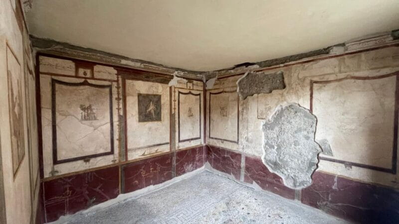 Pompeii-Vesuvius & Winery All Inclusive Tour From Positano - Who Should Consider This Tour?