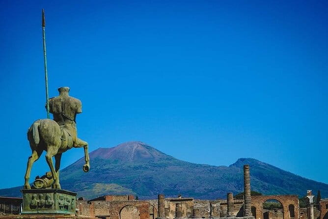Pompeii & Wine Tour from Sorrento (tickets & lunch not included) - The Experience Provider and Customer Service