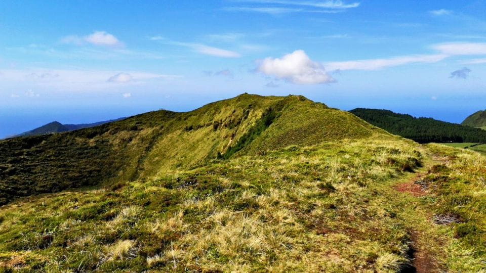 Ponta Delgada: 2-Hour Guided Walk Along the Serra Devassa - Highlights of the Experience