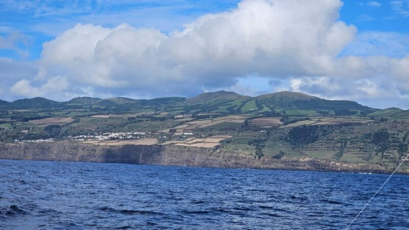 Ponta Delgada: 4-hour Half-Day Fishing Boat Trip Adventure - Who Will Love This Experience?