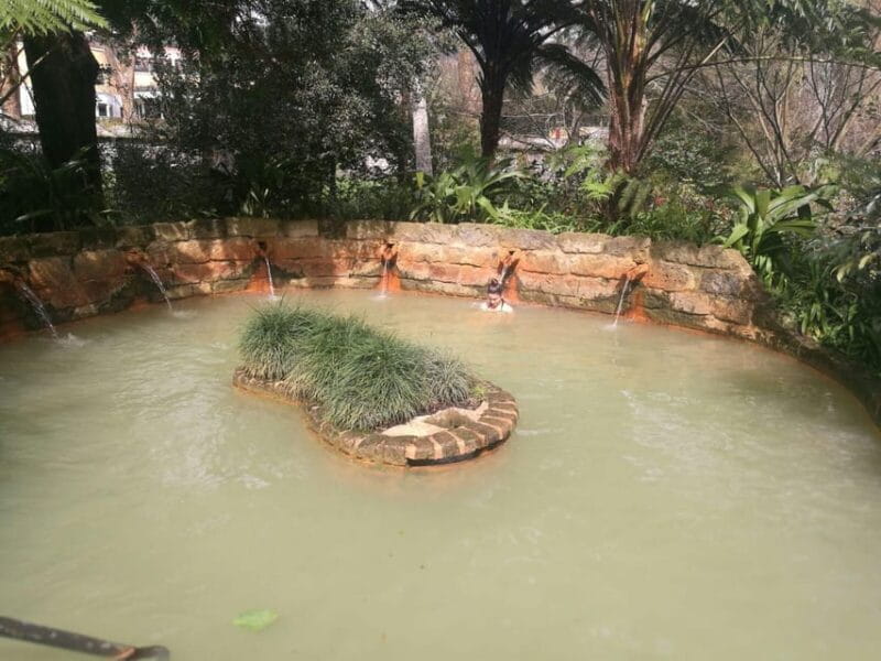 Ponta Delgada: Beauties of São Miguel Island Private Tour - FAQ