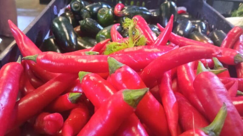 Ponta Delgada: Fat Dolphin Food Tours - Key Points / Takeaways