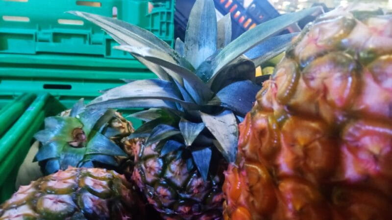 Ponta Delgada: Fat Dolphin Food Tours - Additional Cheese and Food Tastings