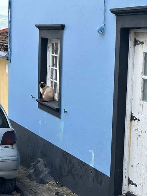 Ponta Delgada: Sete Cidades and Fenais da Luz Guided Trip - Practical Details and Tour Logistics