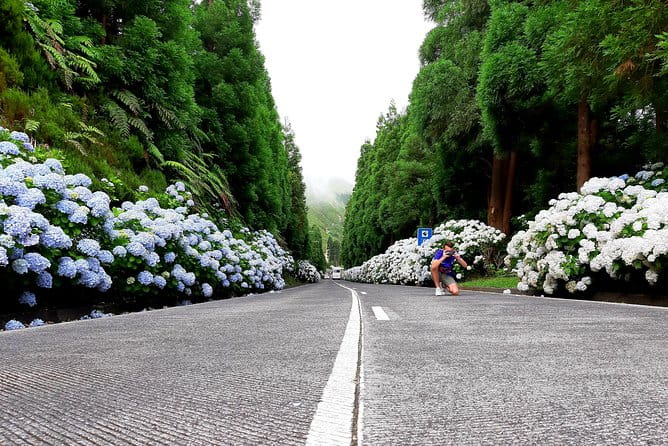 Ponta Delgada: Shore Excursion, Sete Cidades, Blue & Green Lake - Final Thoughts