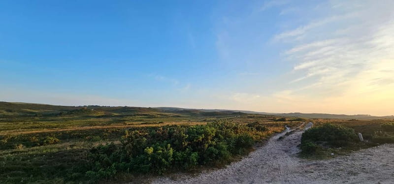 Poole: Ebike excursion to Old Harry with Ebike4you - Key Points / Takeaways