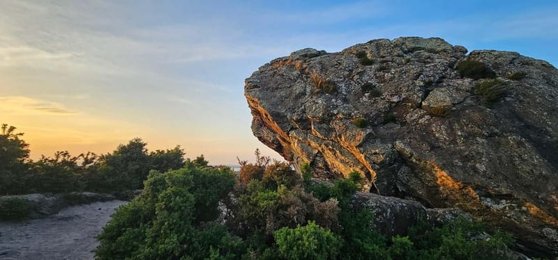 Poole: Ebike excursion to Old Harry with Ebike4you - Final Thoughts: Who Will Love This?