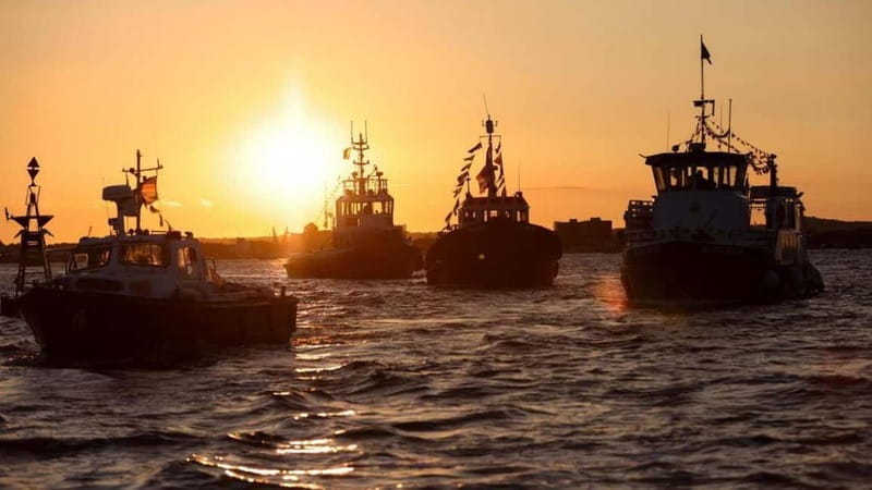 Poole: Harbour Lights Cruise - The Experience in Detail