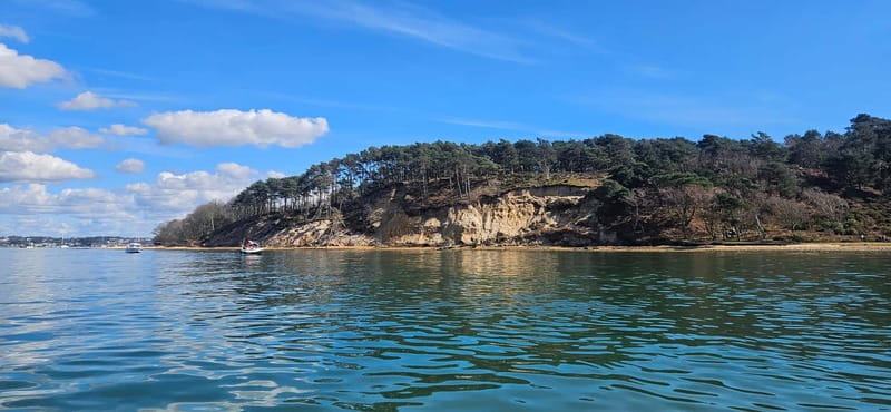 Poole Harbour: Self Drive Boat Hire with Poole Boat Hire - Key Points / Takeaways