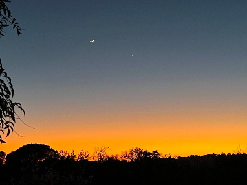 Porches: Vineyard Picnic Experience in the Algarve - Gourmet Picnic Delights