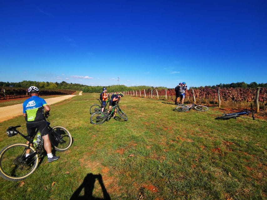 Poreč, Buzet: Bike & Hike Tour With Istrian Delicacies - Hiking in Buzet