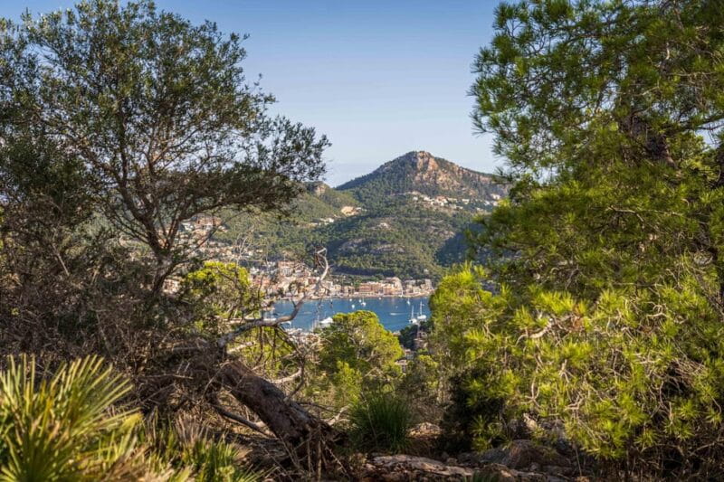 Port Andratx: Hiking Tour into the sunset to Sant Elm - FAQ