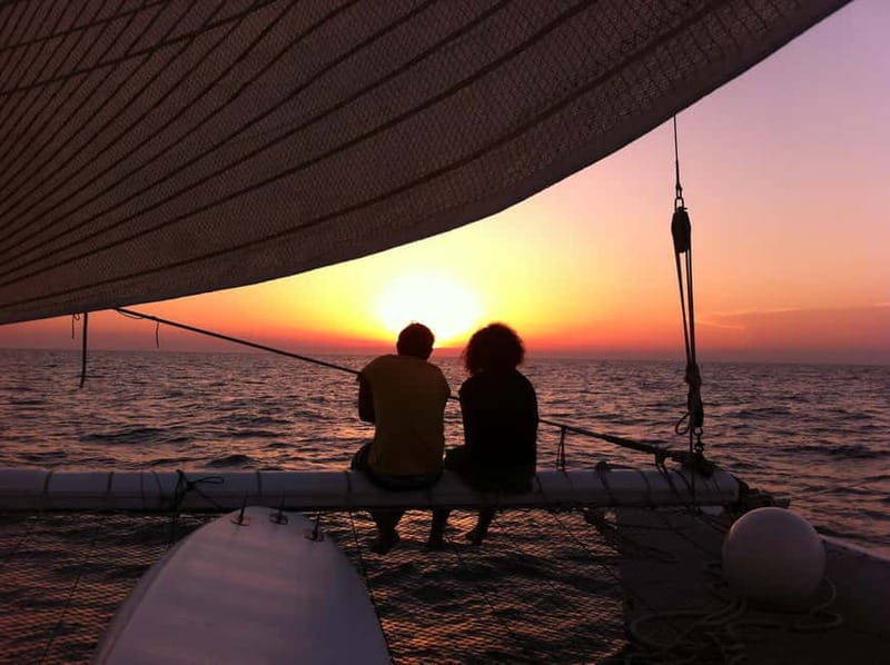 Port Camargue: Half-Day Sailing Tour on a Racing Catamaran - Discovering the Sea on a Racing Catamaran: A Genuine Adventure in Port Camargue