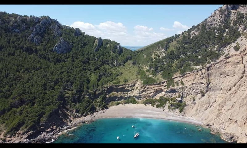 Port d'Alcúdia, Mallorca: Half Day Sailing Trip - Final Thoughts: Is This Mallorca Sailing Trip Worth It?